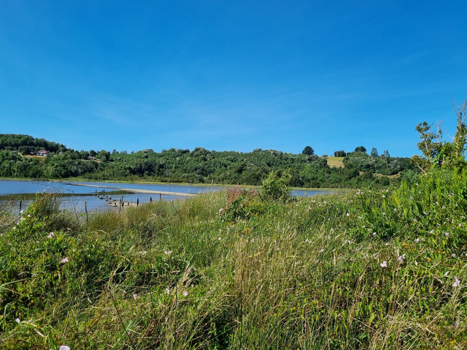 Campo en venta en Ancud — foto 5