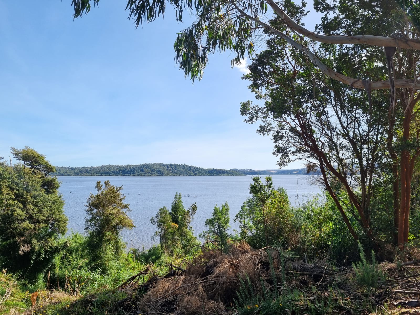 Campo en venta en Ancud — foto 7