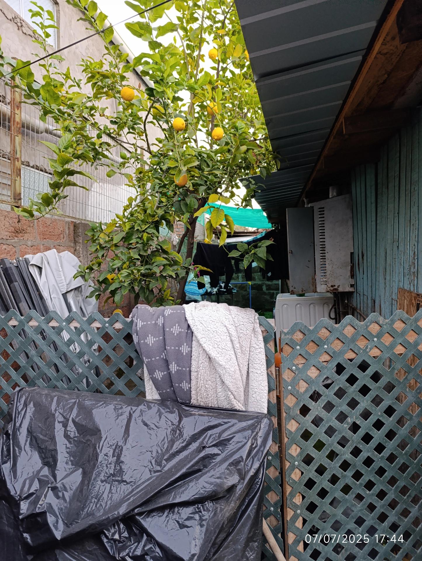 Terreno en venta en La Florida — foto 6