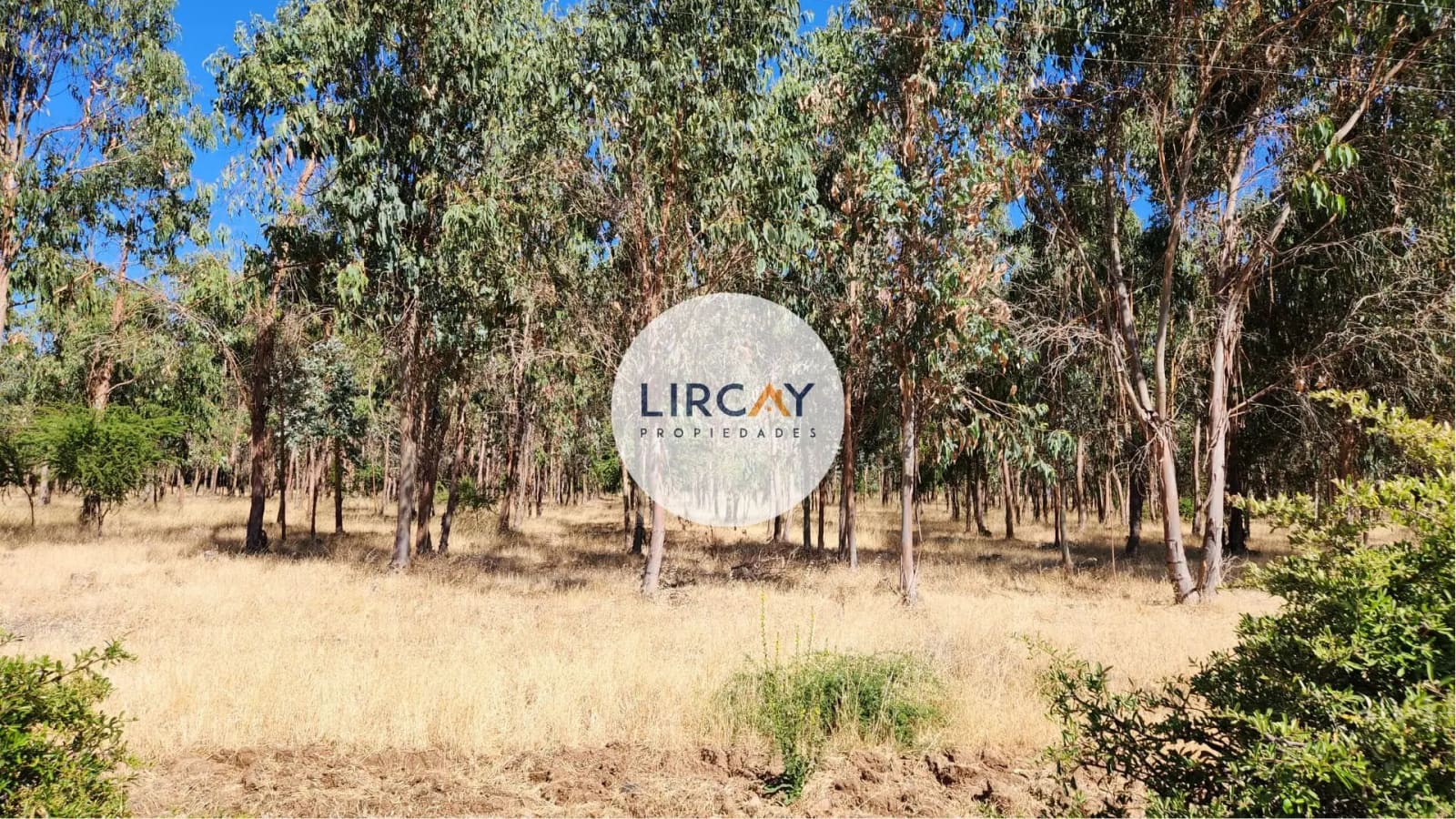 Terreno en venta en Talca — foto 5