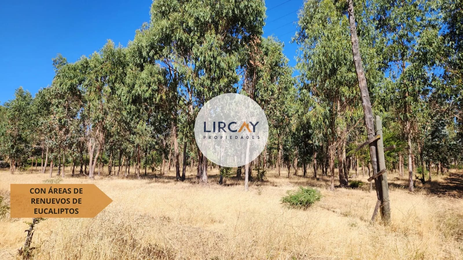 Terreno en venta en Talca — foto 7