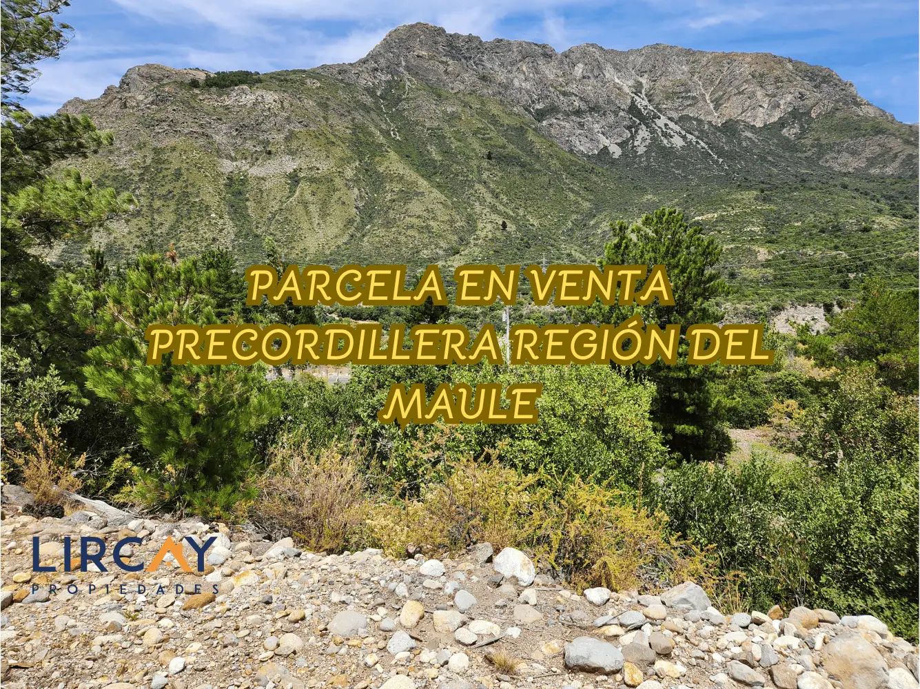 Parcela en venta en San Clemente — foto 1