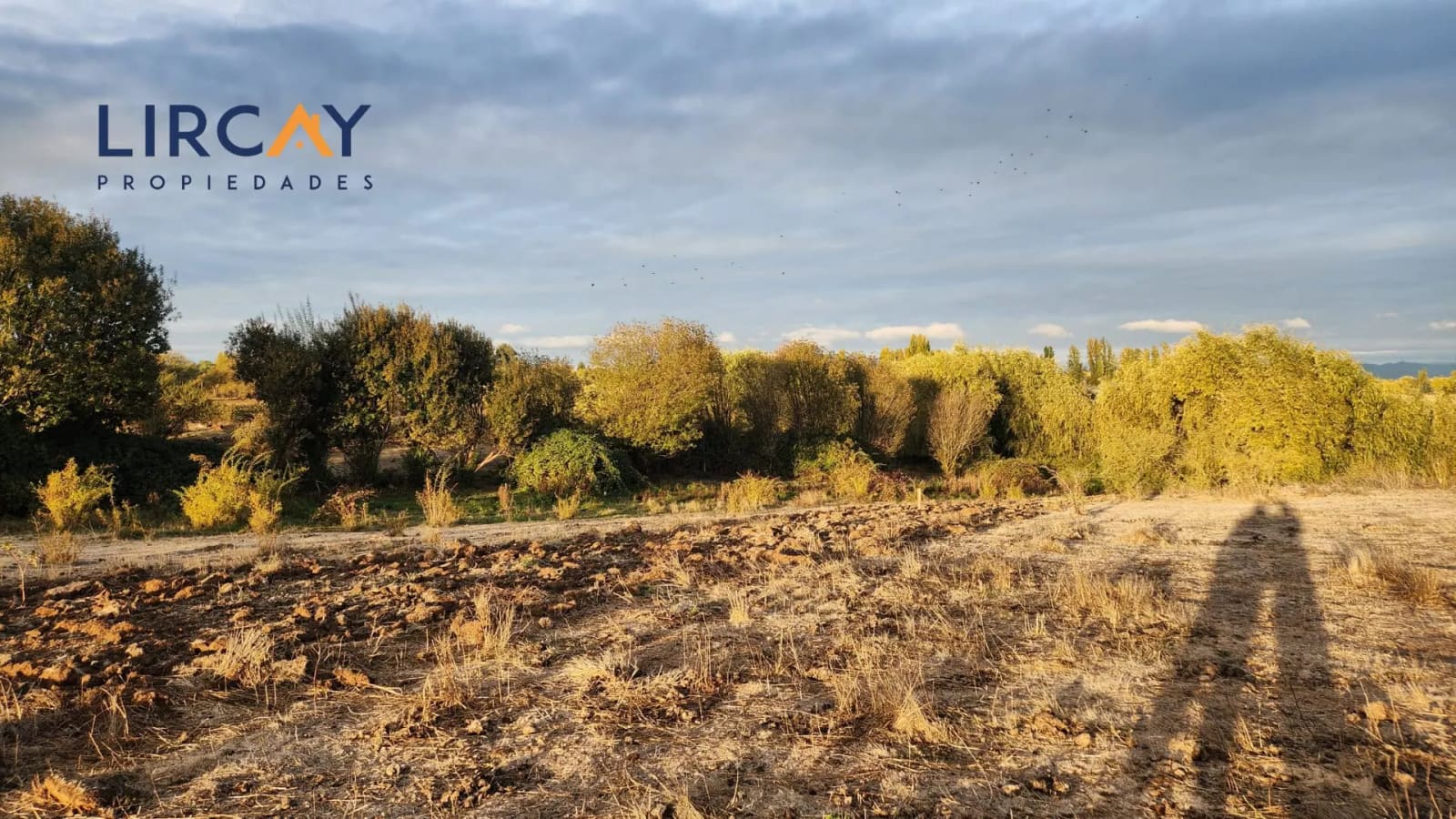 Terreno en venta en San Rafael — foto 10