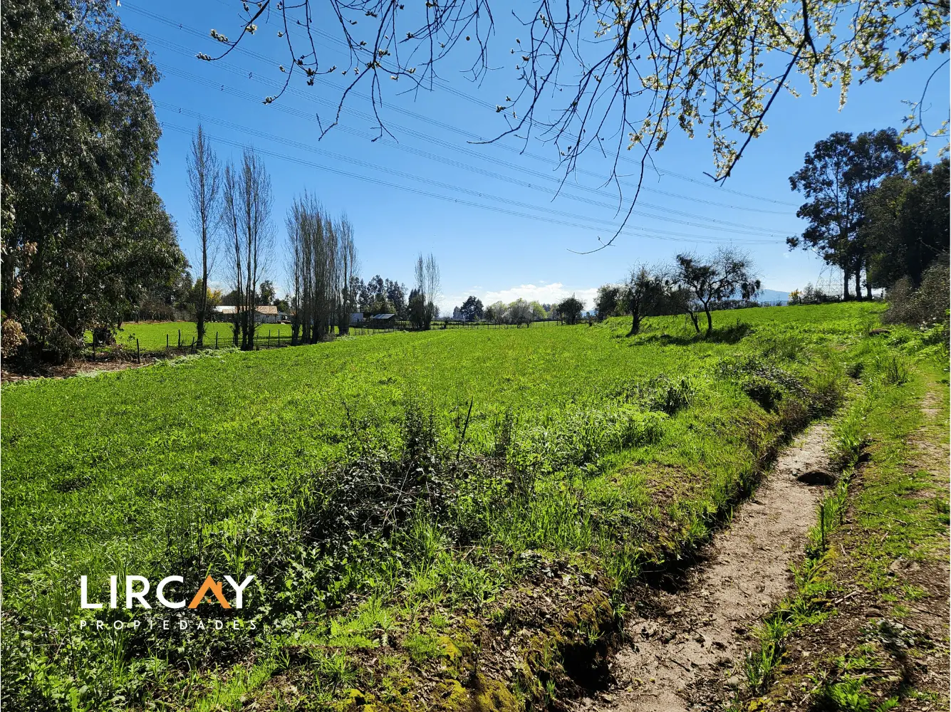 Terreno en venta en San Clemente — foto 1