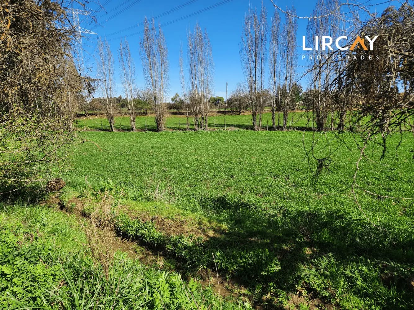 Terreno en venta en San Clemente — foto 3