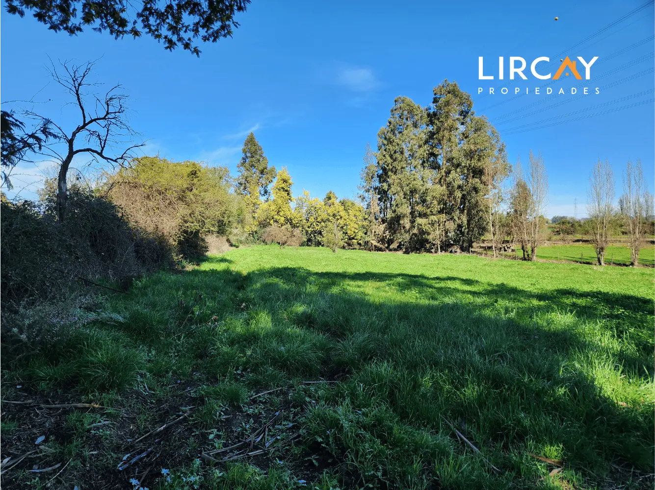 Terreno en venta en San Clemente — foto 4