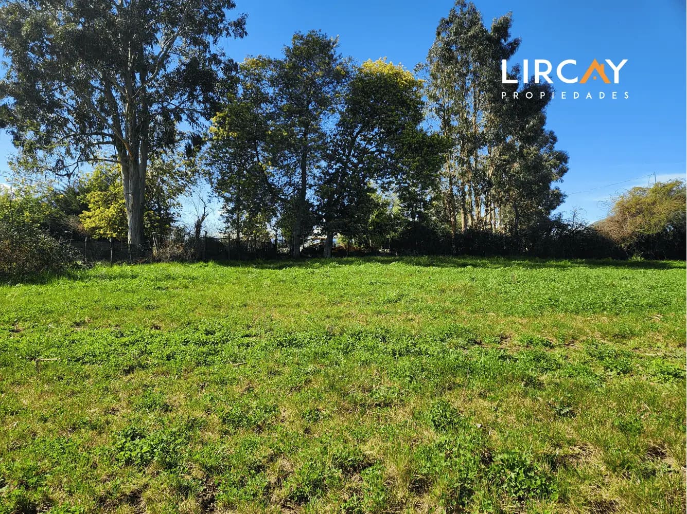 Terreno en venta en San Clemente — foto 5