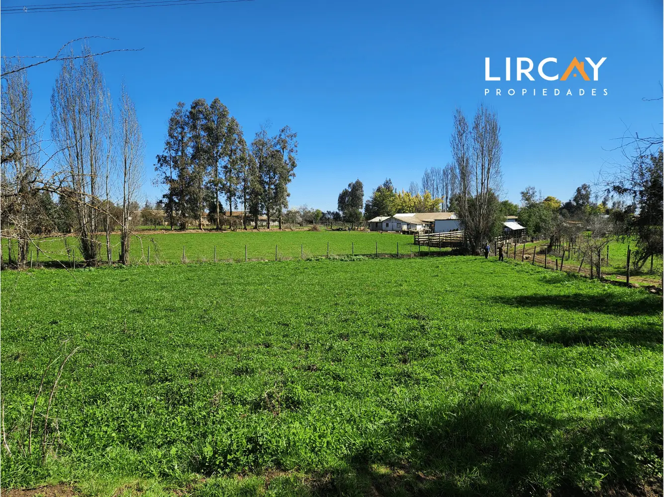 Terreno en venta en San Clemente — foto 6