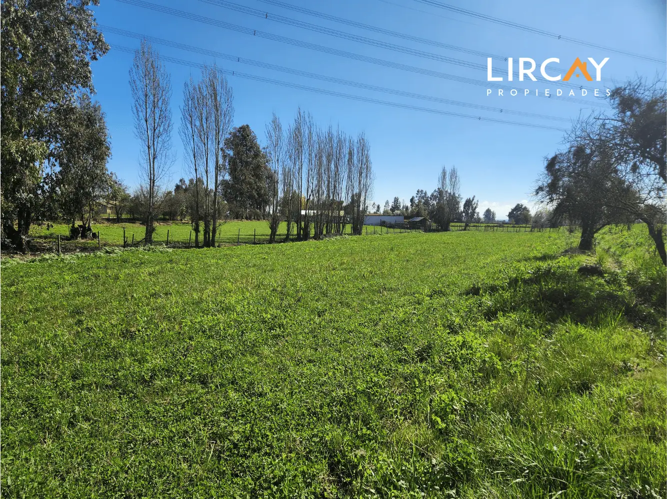 Terreno en venta en San Clemente — foto 7