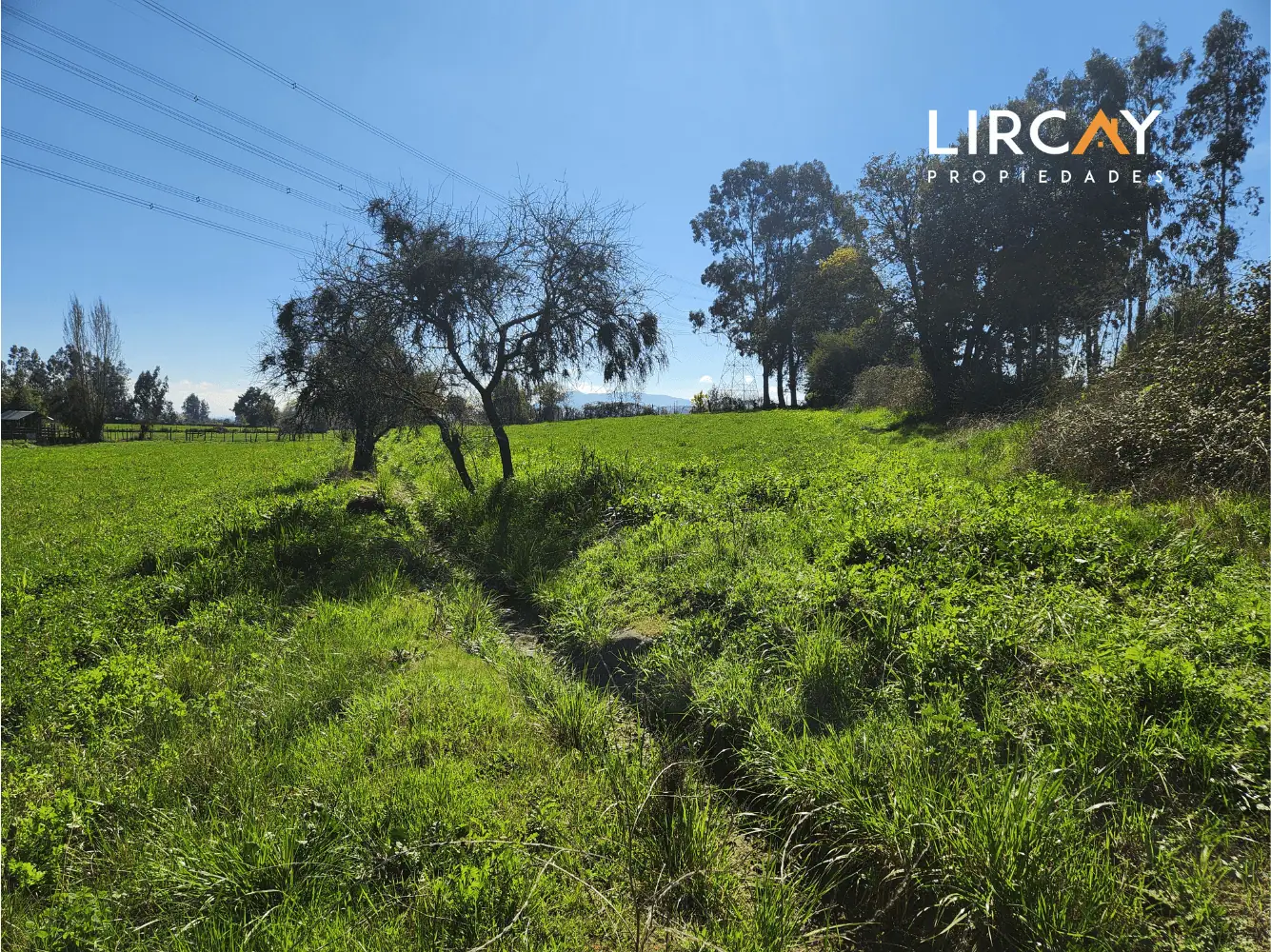 Terreno en venta en San Clemente — foto 8