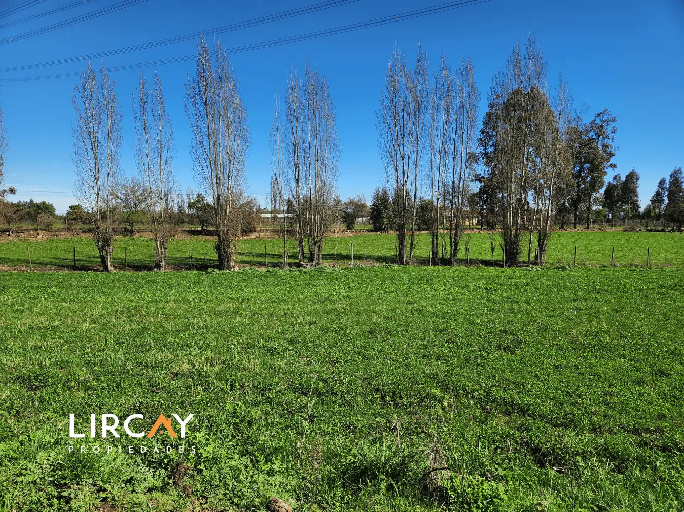 Terreno en venta en San Clemente — foto 10