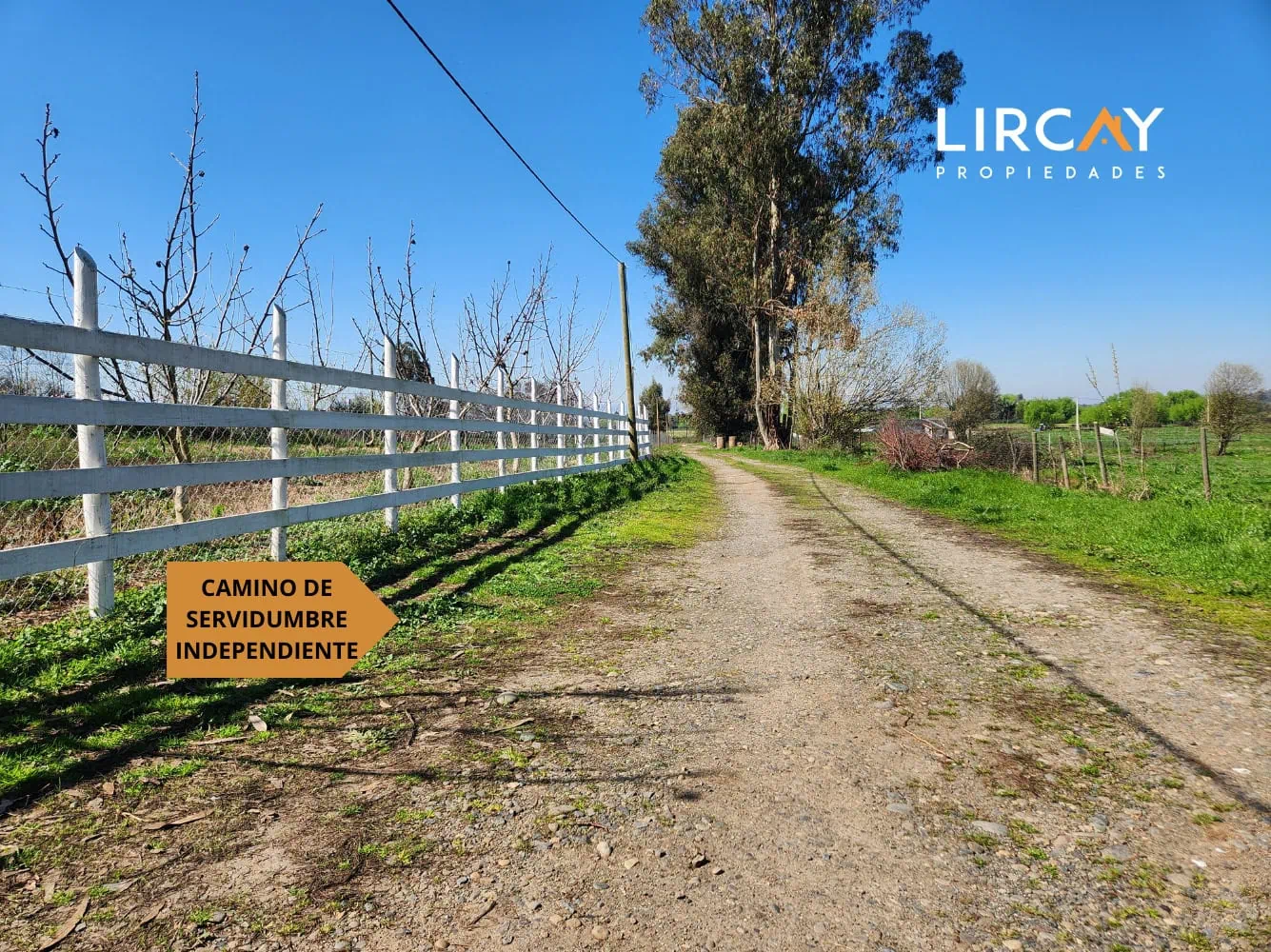 Parcela en venta en Pelarco — foto 2