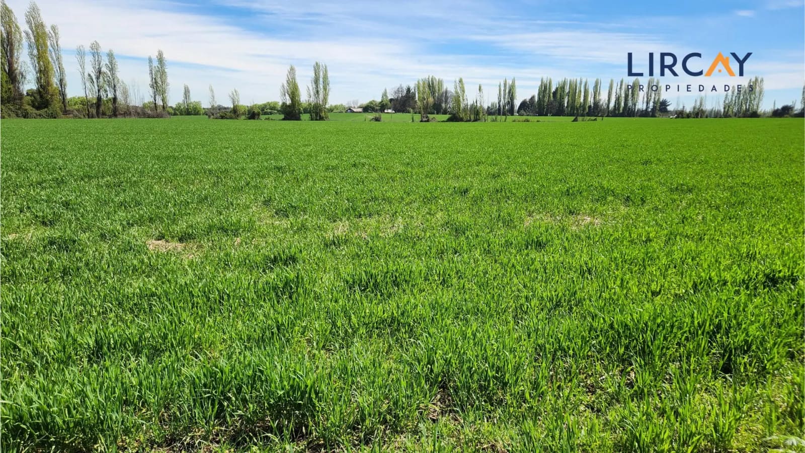 Terreno en venta en Parral — foto 1