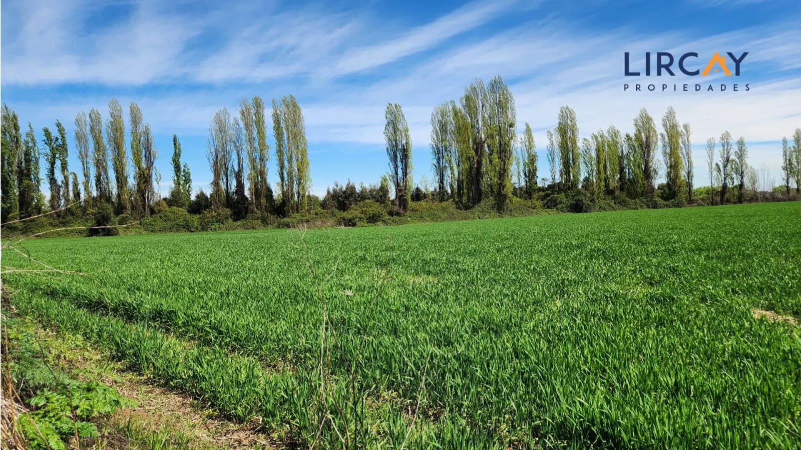 Terreno en venta en Parral — foto 3