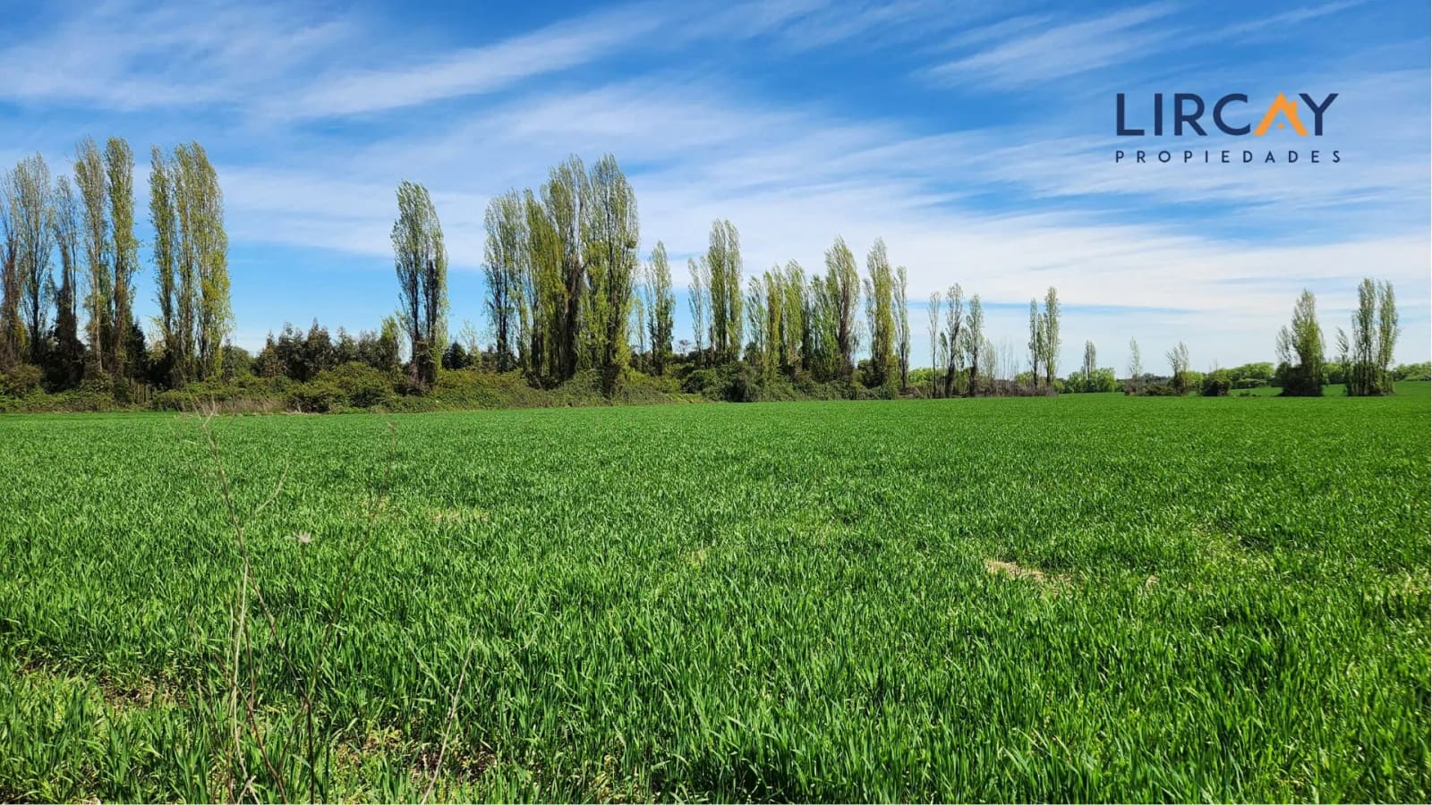 Terreno en venta en Parral — foto 4