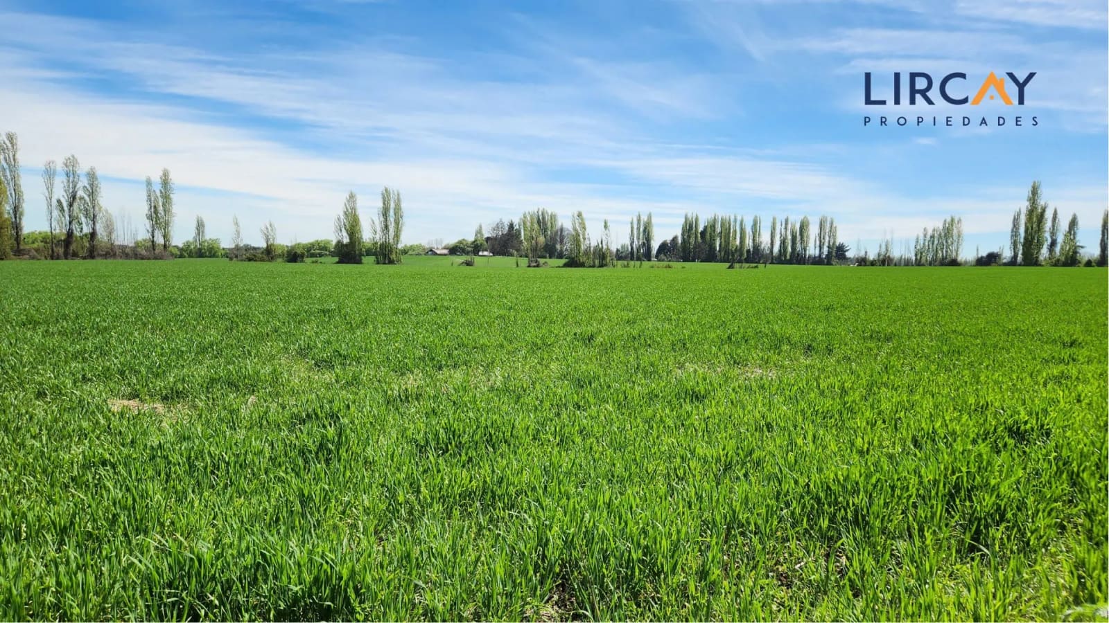Terreno en venta en Parral — foto 5