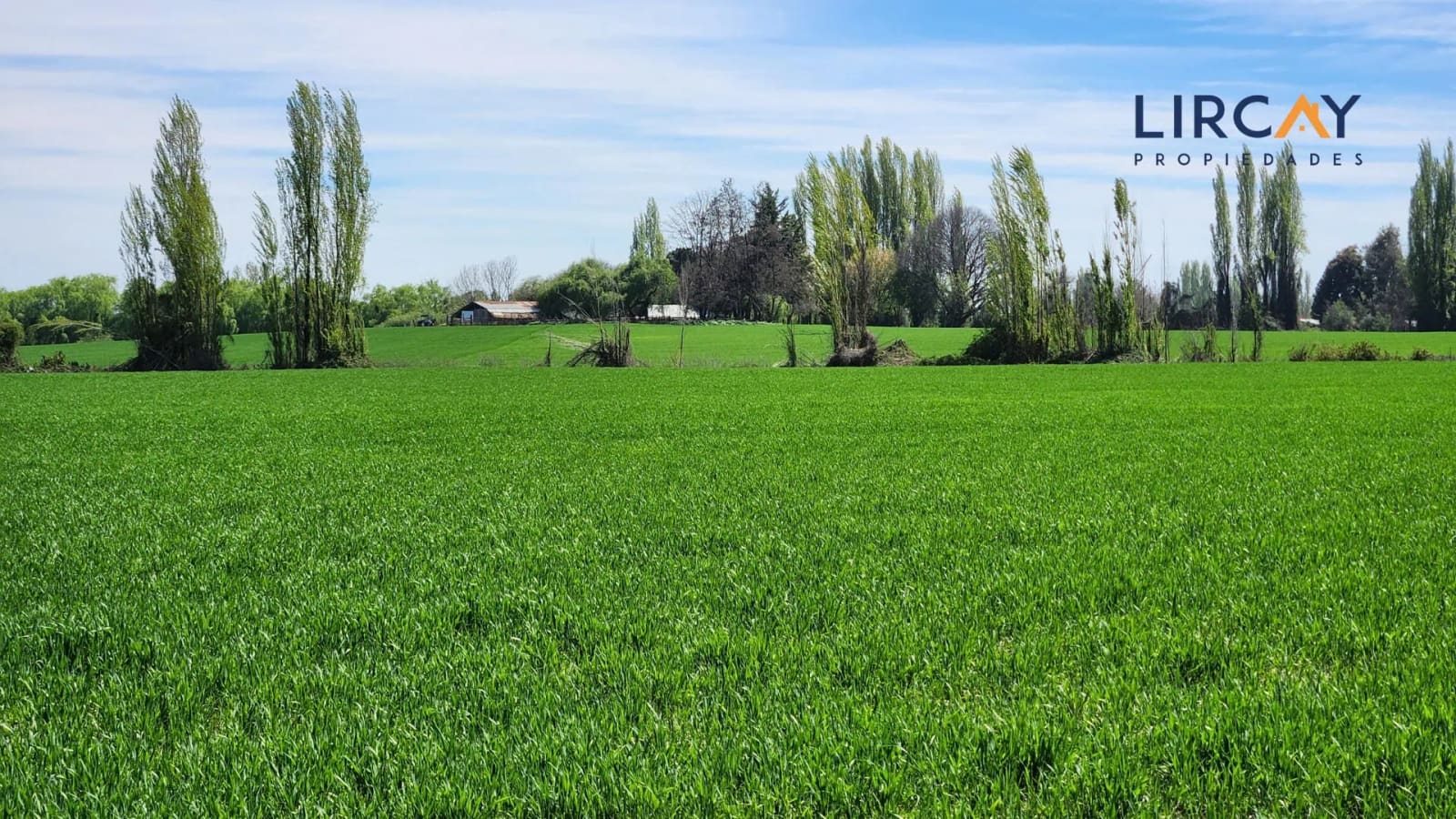 Terreno en venta en Parral — foto 6