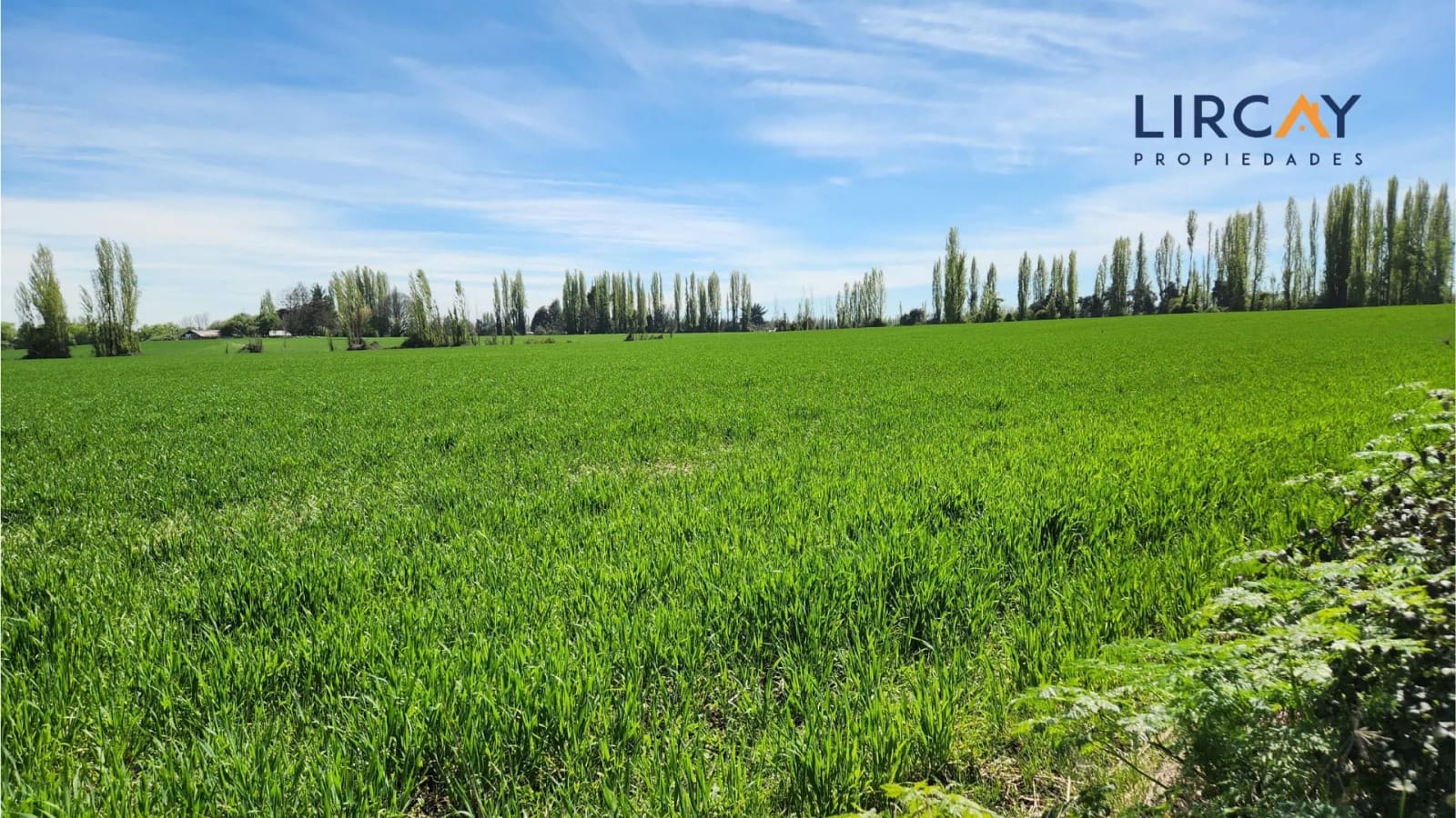Terreno en venta en Parral — foto 7