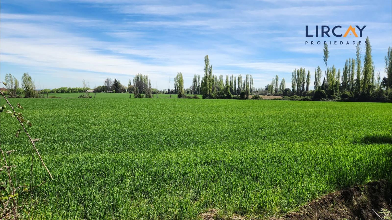 Terreno en venta en Parral — foto 8