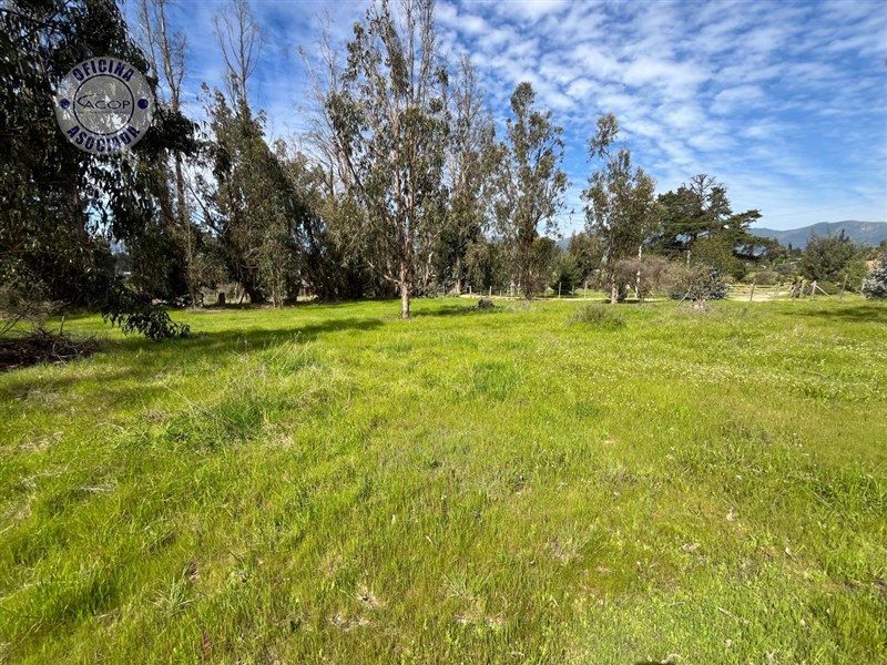 Parcela en venta en Zapallar — foto 2