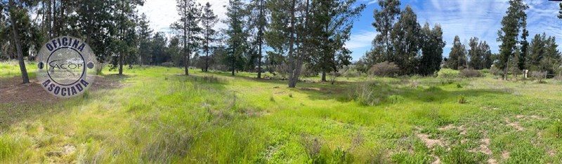 Parcela en venta en Zapallar — foto 6