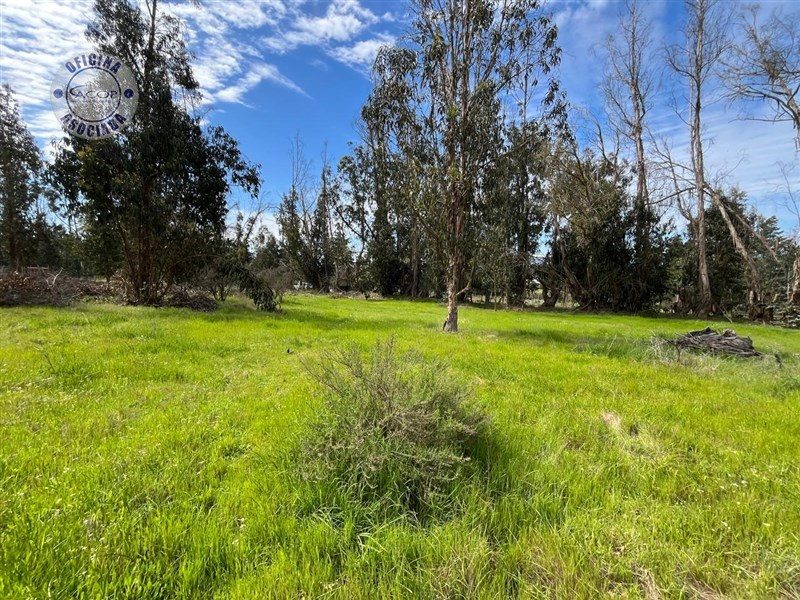 Parcela en venta en Zapallar — foto 7