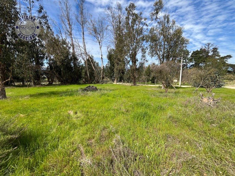 Parcela en venta en Zapallar — foto 9