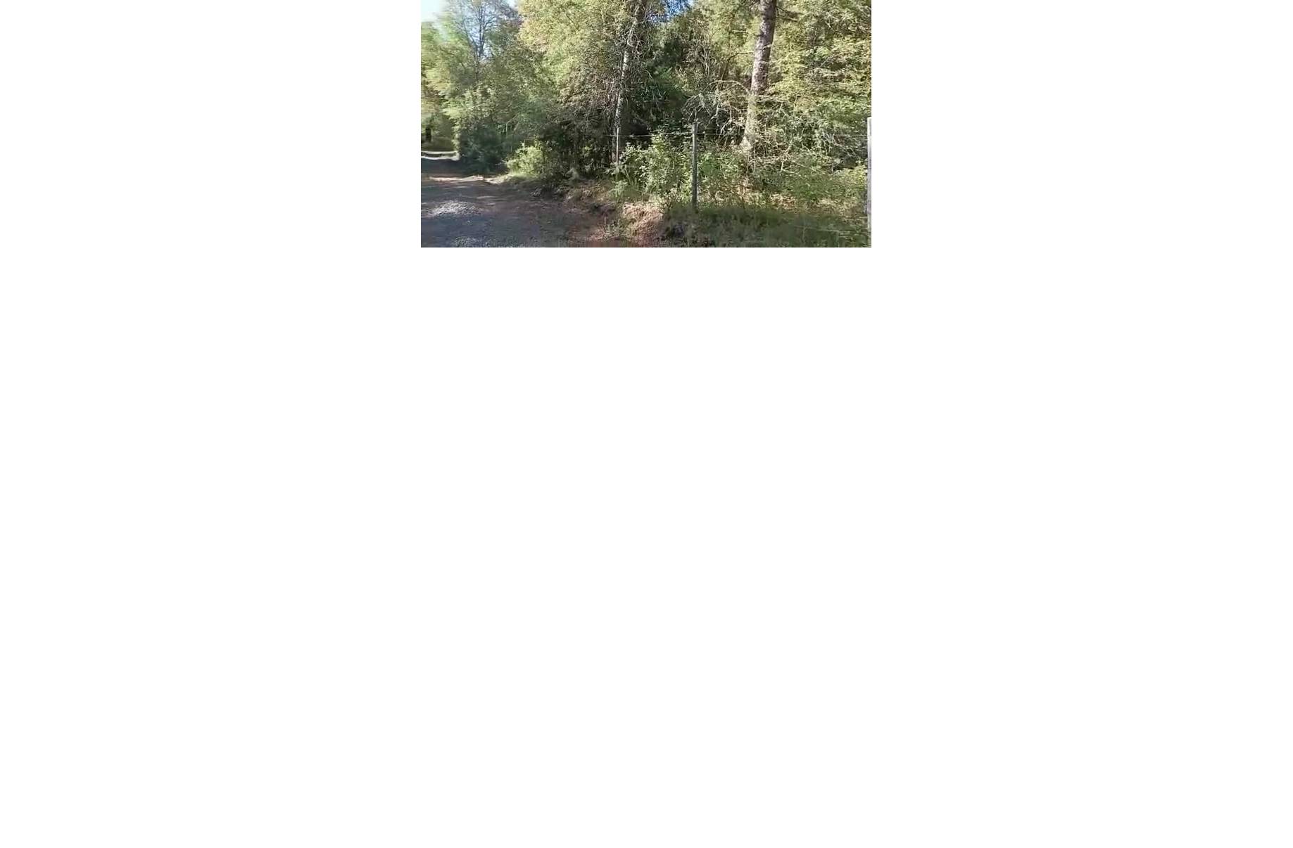 Parcela en venta en Chillán — foto 4