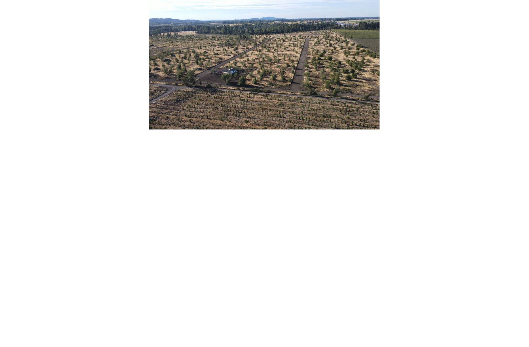 Terreno en venta en Los Ángeles — foto 7