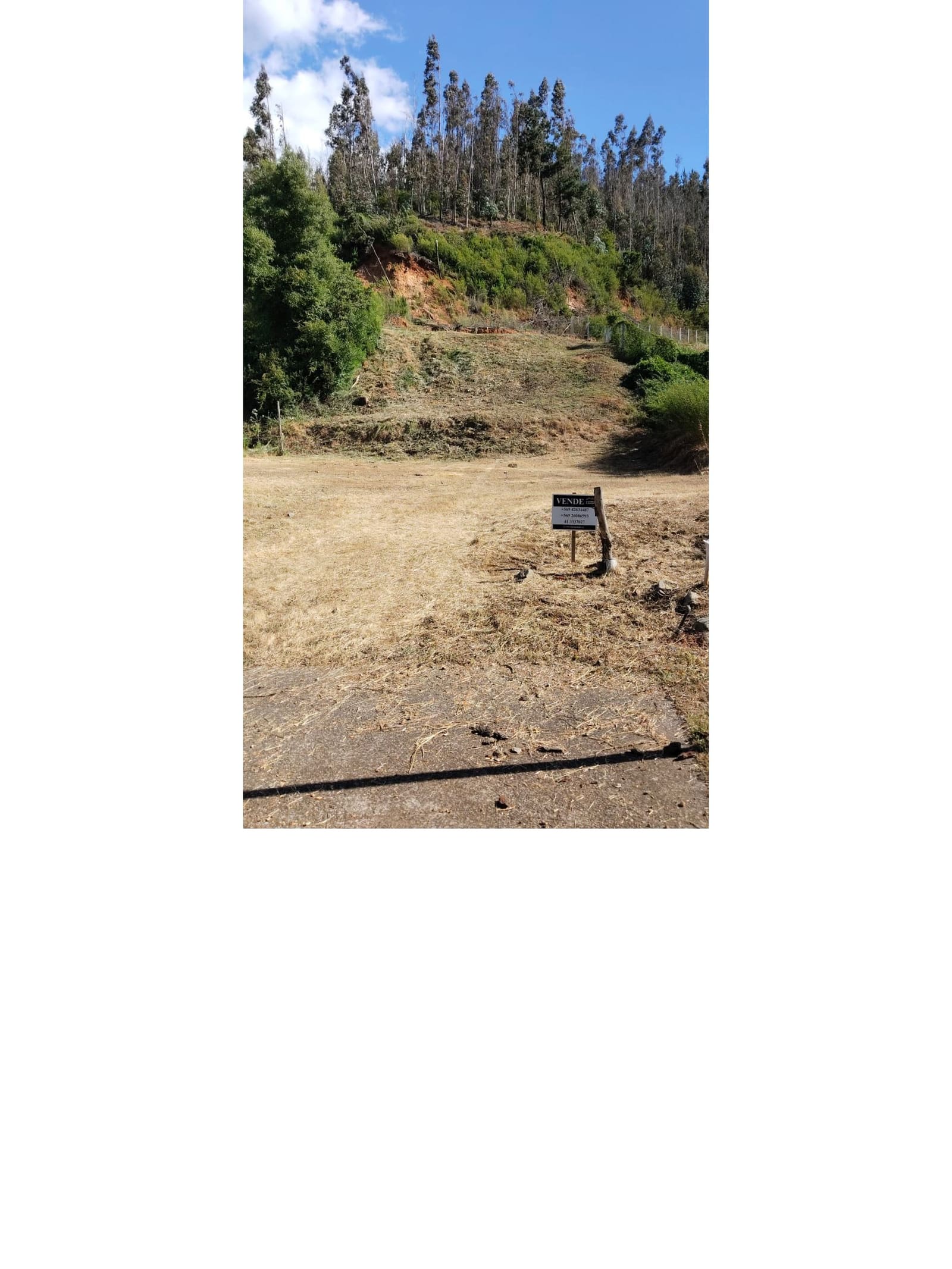 Terreno en venta en Coronel — foto 2