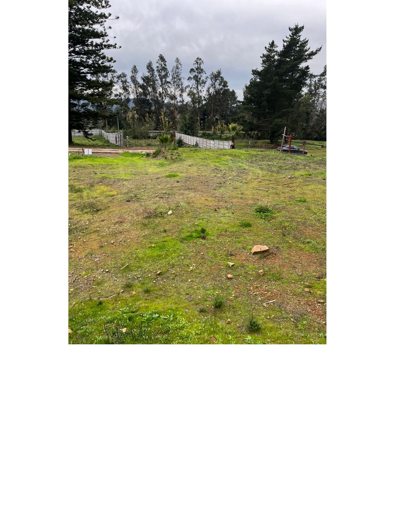 Terreno en venta en Coronel — foto 3