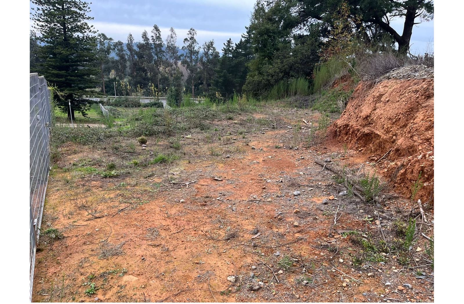 Terreno en venta en Coronel — foto 8