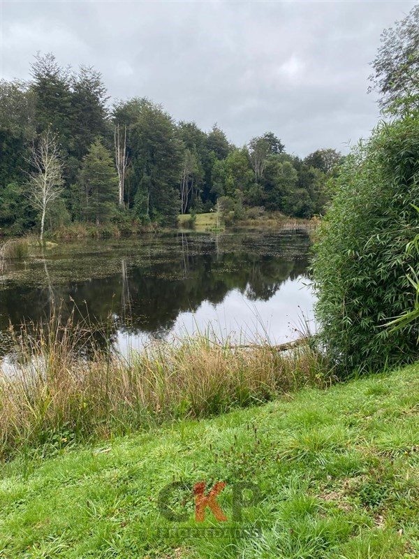 Parcela en venta en Frutillar — foto 4
