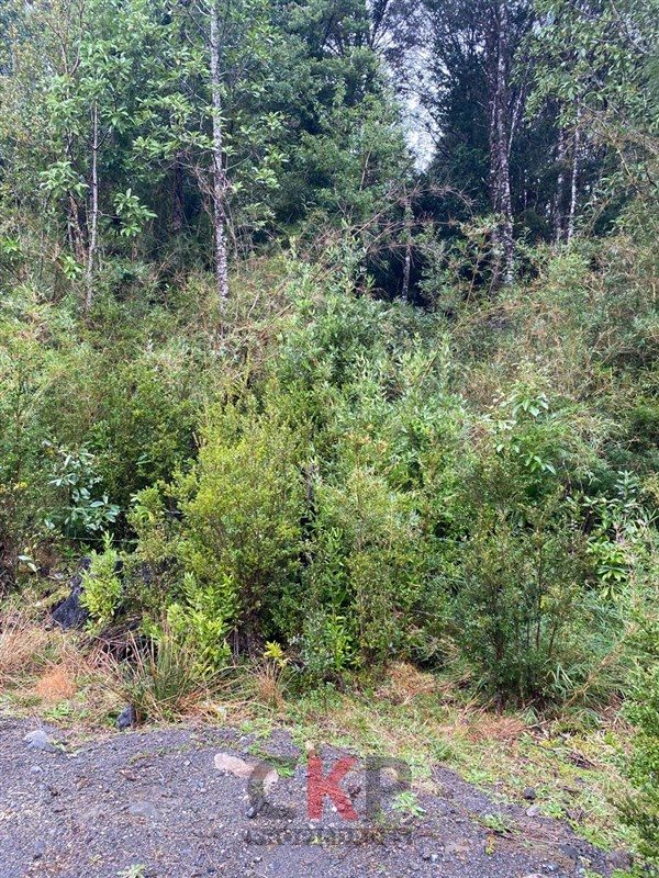 Parcela en venta en Puerto Varas — foto 5