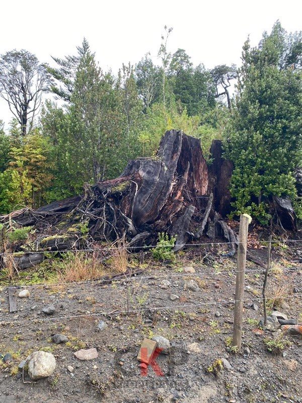 Parcela en venta en Puerto Varas — foto 9