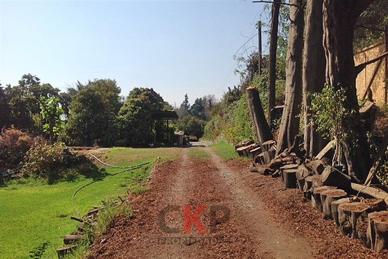 Terreno en venta en La Reina — foto 4