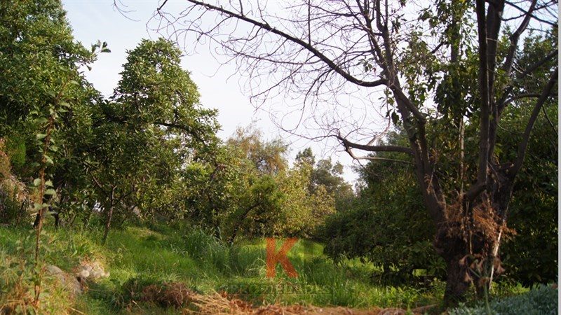 Terreno en venta en La Reina — foto 8