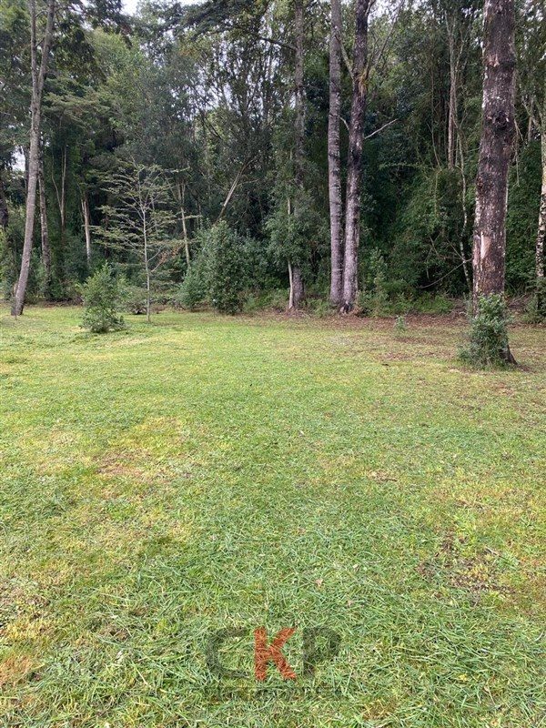 Parcela en venta en Frutillar — foto 6