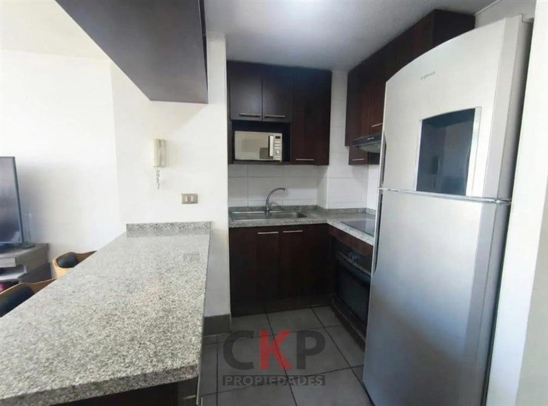 Departamento en venta en Providencia — foto 2