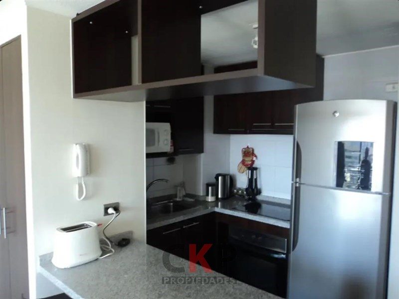 Departamento en venta en Providencia — foto 4