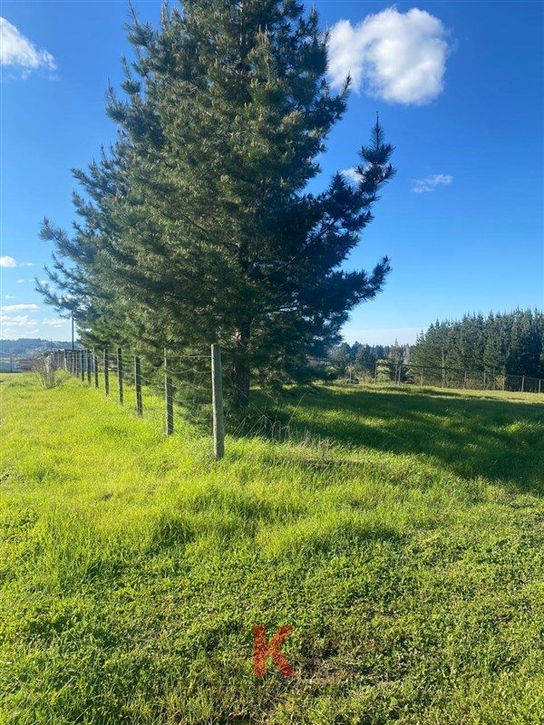 Parcela en venta en Yumbel — foto 3
