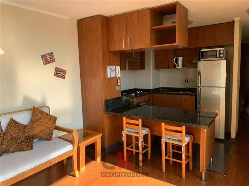 Departamento en venta en Providencia — foto 2