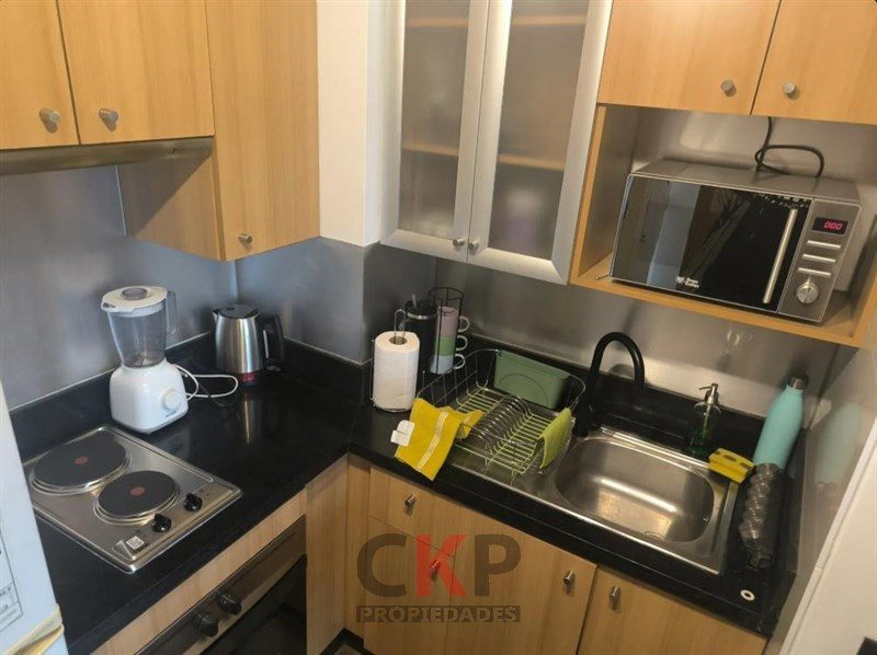 Departamento en venta en Providencia — foto 3