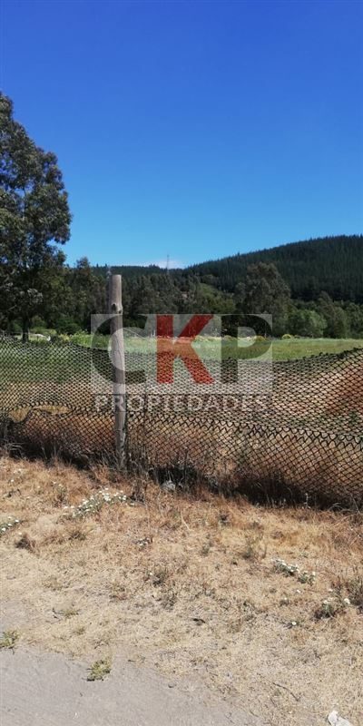 Parcela en venta en Coronel — foto 2