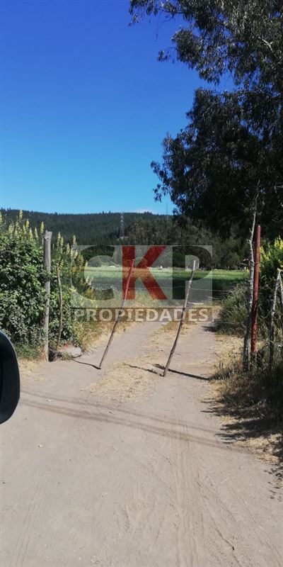 Parcela en venta en Coronel — foto 3