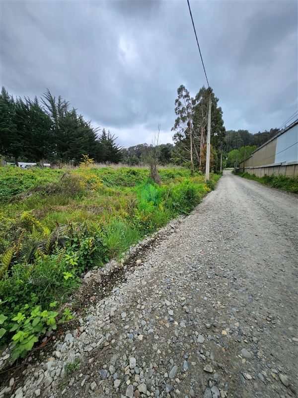 Terreno en arriendo en Valdivia — foto 1