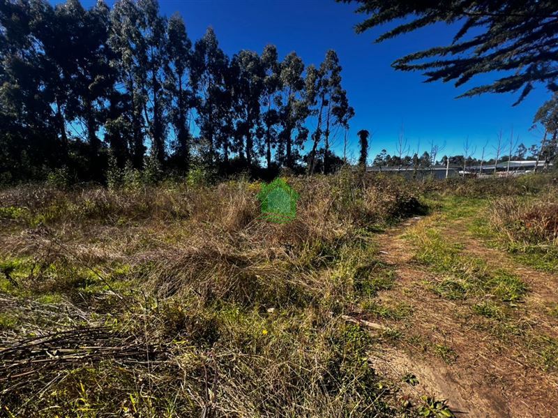 Terreno en arriendo en Valdivia — foto 2