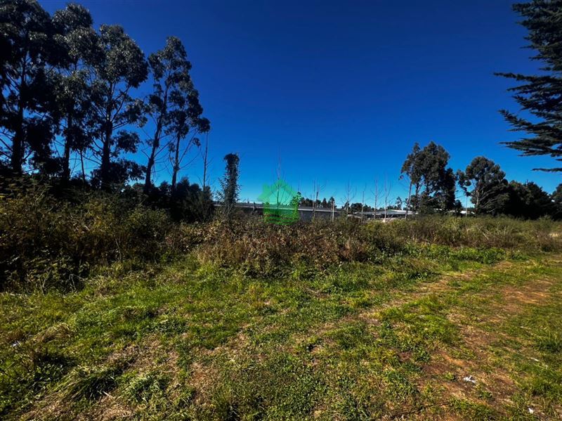 Terreno en arriendo en Valdivia — foto 3