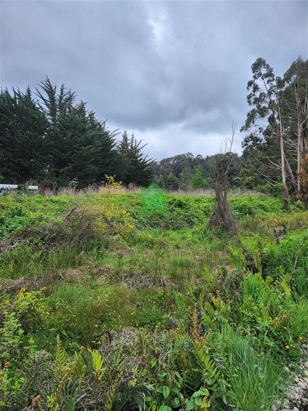 Terreno en arriendo en Valdivia — foto 5