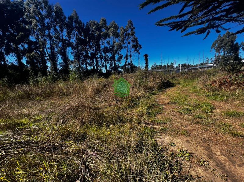 Terreno en venta en Valdivia — foto 4